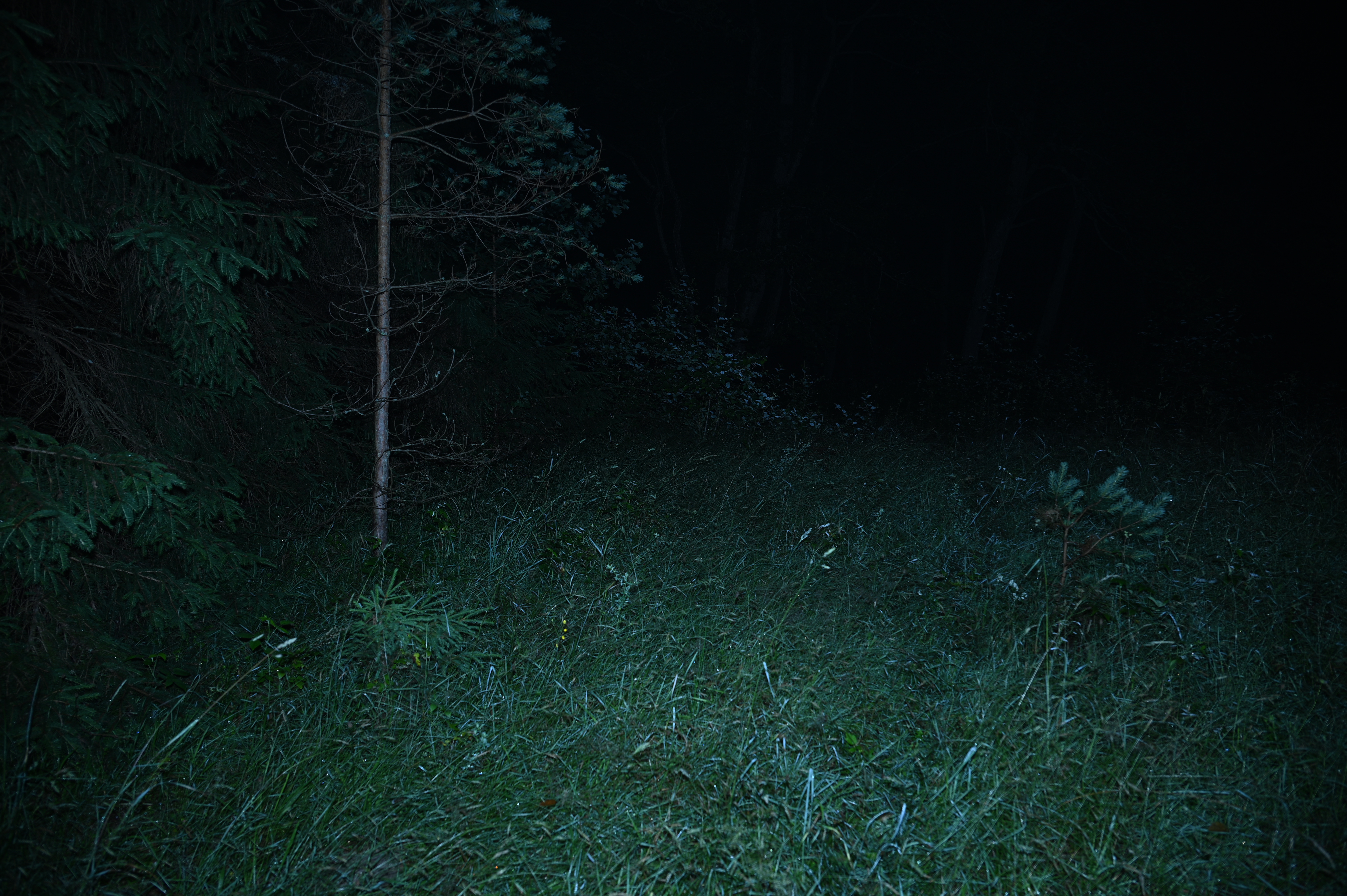 2025/07/09-14 - trip/DSC_0298.JPG